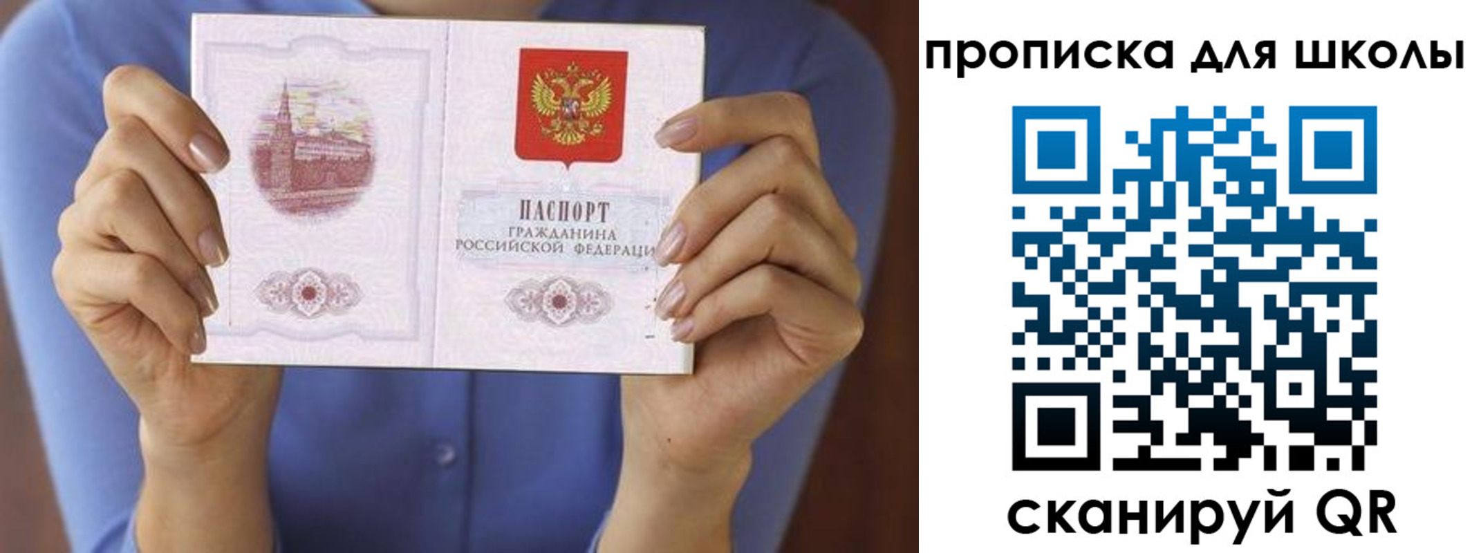 прописка в Димитровграде